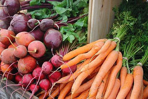 Як зберігати буряк і моркву на зиму